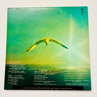 It's A Beautiful Day – It's A Beautiful Day LP (NM) - schallplattenparadis