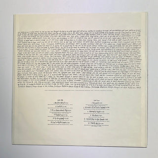 Lemonheads – It's A Shame About Ray LP (NM) - schallplattenparadis