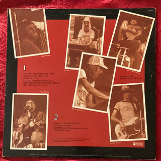 The Amazing Rhythm Aces – Burning The Ballroom Down LP mit OIS (VG) - schallplattenparadis