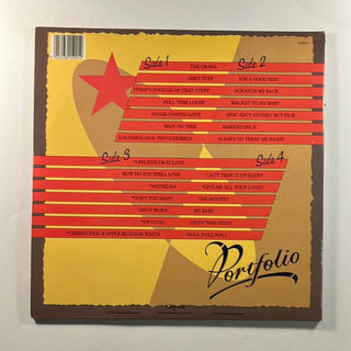 The Fabulous Thunderbirds – Portfolio Doppel LP (NM) - schallplattenparadis