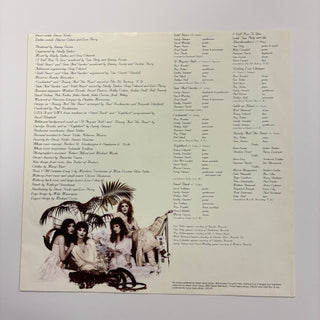 Stevie Nicks ‎– The Wild Heart LP mit OIS und Beiblatt (VG+)