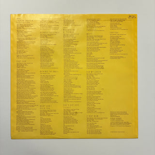Tracy Chapman ‎– Tracy Chapman LP mit OIS (NM)