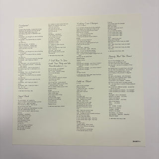Stevie Nicks ‎– The Wild Heart LP mit OIS und Beiblatt (VG+)