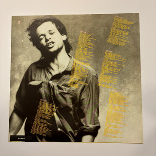 John Cougar ‎– John Cougar  LP mit OIS (NM)