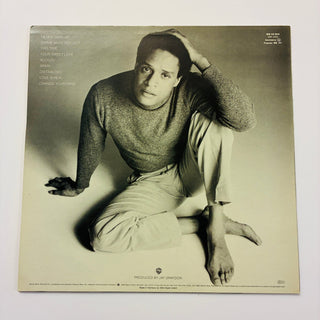 Al Jarreau ‎– This Time LP mit OIS (NM) - schallplattenparadis