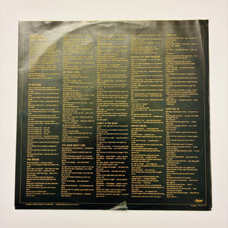Billy Squier – Don't Say No LP mit OIS (NM) - schallplattenparadis