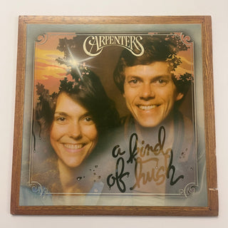 Carpenters – A Kind Of Hush LP mit OIS (VG+) - schallplattenparadis