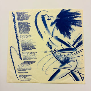 Chaka Khan ‎– I Feel For You LP mit OIS (NM) - schallplattenparadis