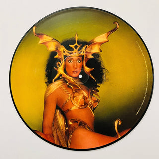 Cher ‎– Take Me Home - Picture Disc (NM) - schallplattenparadis