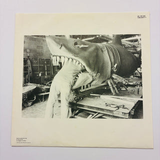 David Lee Roth ‎– A Little Ain't Enough LP mit OIS (NM) - schallplattenparadis