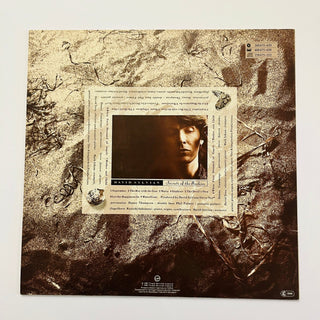 David Sylvian ‎– Secrets Of The Beehive LP mit OIS (VG+) - schallplattenparadis