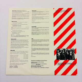 Die Ärzte ‎– Das Ist Nicht Die Ganze Wahrheit... LP mit OIS (NM) - schallplattenparadis