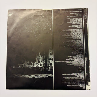 Die Ärzte ‎– Die Ärzte LP mit OIS (NM) - schallplattenparadis