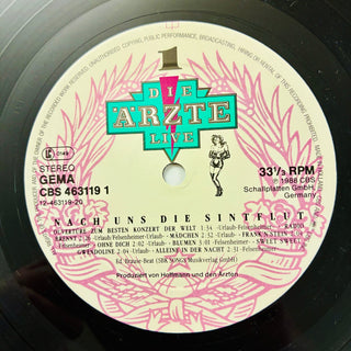 Die Ärzte ‎– Live (Nach Uns Die Sintflut) - 3 LPs mit OIS (NM) - schallplattenparadis