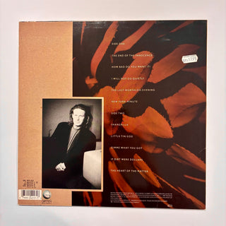 Don Henley – The End Of The Innocence LP mit OIS (NM) - schallplattenparadis