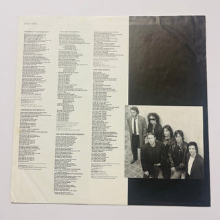 Don Henley – The End Of The Innocence LP mit OIS (VG+) - schallplattenparadis