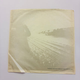 Echo & The Bunnymen ‎– Porcupine LP (NM) - schallplattenparadis