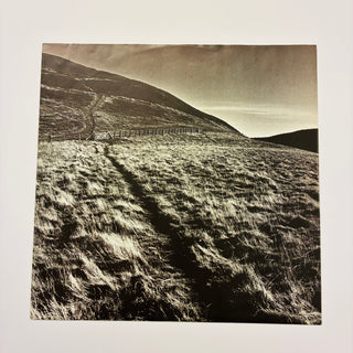 Gary Moore ‎– Wild Frontier LP mit OIS (NM) - schallplattenparadis