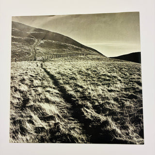 Gary Moore – Wild Frontier LP mit OIS (VG+) - schallplattenparadis