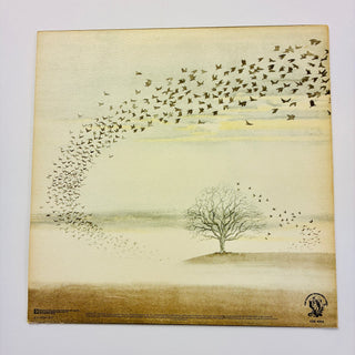 Genesis ‎– Wind & Wuthering LP (NM) - schallplattenparadis