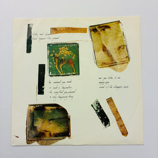 Icehouse ‎– Primitive Man LP mit OIS (NM) - schallplattenparadis