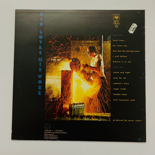 James Taylor ‎– Dad Loves His Work LP mit OIS (NM) - schallplattenparadis