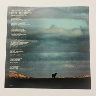 James Taylor – Never Die Young LP mit OIS (NM) - schallplattenparadis