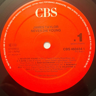 James Taylor – Never Die Young LP mit OIS (NM) - schallplattenparadis