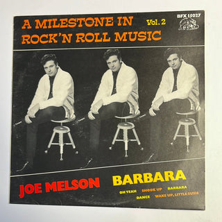 Joe Melson ‎– Barbara LP (NM) - schallplattenparadis