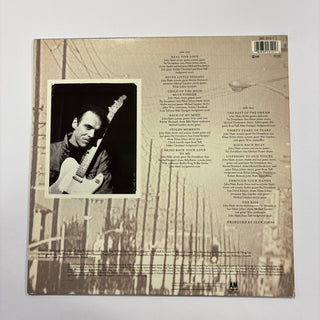 John Hiatt ‎– Stolen Moments LP mit OIS (NM) - schallplattenparadis