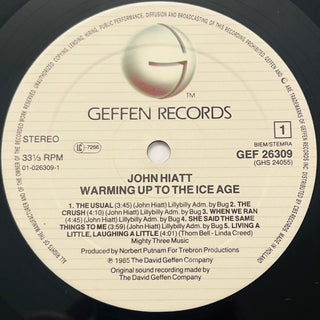 John Hiatt – Warming Up To The Ice Age LP (NM) - schallplattenparadis