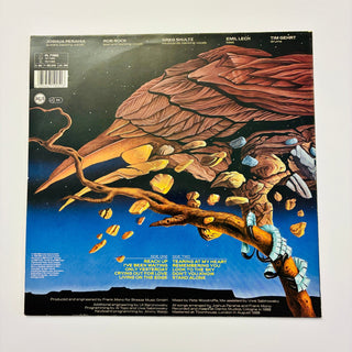 Joshua ‎– Intense Defense LP mit OIS (VG+) - schallplattenparadis