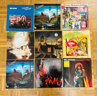 LP - Cover Paket (24 LP - Hüllen) - schallplattenparadis