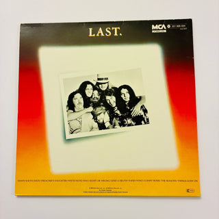 Lynyrd Skynyrd – Skynyrd's First And... Last LP (NM) - schallplattenparadis