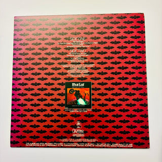 Meat Loaf – Bat Out Of Hell - Picture Disc (NM) - schallplattenparadis
