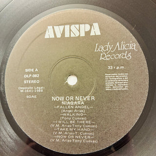 Niagara – Now Or Never LP (VG+) - schallplattenparadis