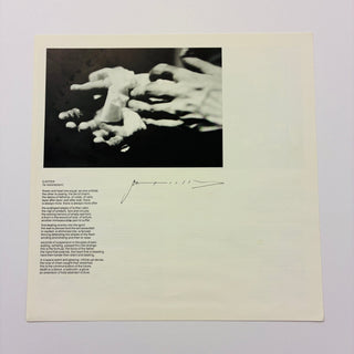 Patti Smith Group ‎– Easter LP mit Beiblatt (VG+) - schallplattenparadis