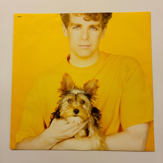 Pet Shop Boys – Introspective LP mit OIS (VG+) - schallplattenparadis