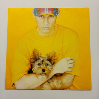 Pet Shop Boys – Introspective LP mit OIS (VG+) - schallplattenparadis