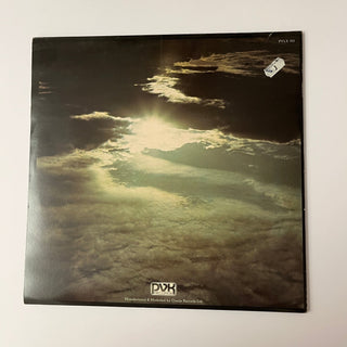 Peter Green ‎– In The Skies LP - Green Vinyl (NM) - schallplattenparadis