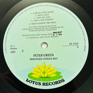 Peter Green – Whatcha Gonna Do? LP (VG+) - schallplattenparadis