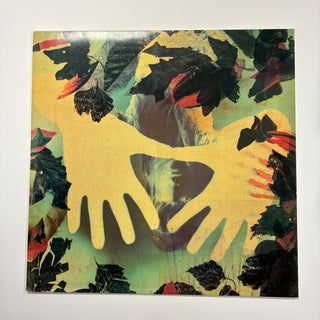 Phillip Boa & The Voodooclub – Hispañola Doppel LP mit OIS (NM) - schallplattenparadis