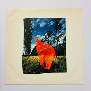 Pink Floyd – Wish You Were Here LP mit OIS (NM) - schallplattenparadis