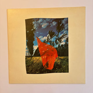 Pink Floyd – Wish You Were Here LP mit OIS (VG+) - schallplattenparadis