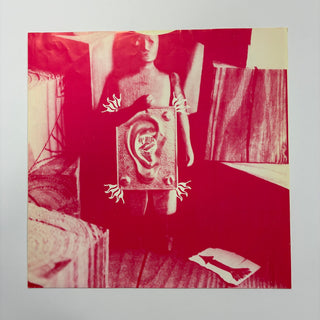 R.E.M. – Fables Of The Reconstruction LP mit OIS (NM) - schallplattenparadis
