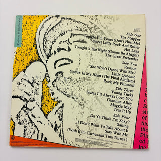 Rod Stewart – Absolutely Live Doppel LP (NM) - schallplattenparadis