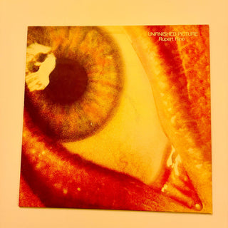 Rupert Hine ‎– Unfinished Picture LP mit OIS (NM) - schallplattenparadis