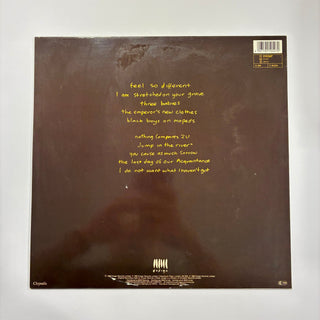 Sinéad O'Connor – I Do Not Want What I Haven't Got LP (NM) - schallplattenparadis