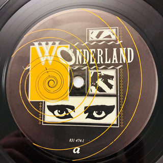 Siouxsie & The Banshees ‎– Through The Looking Glass LP mit OIS (NM) - schallplattenparadis