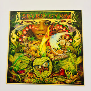 Spyro Gyra ‎– Morning Dance LP mit OIS (NM) - schallplattenparadis